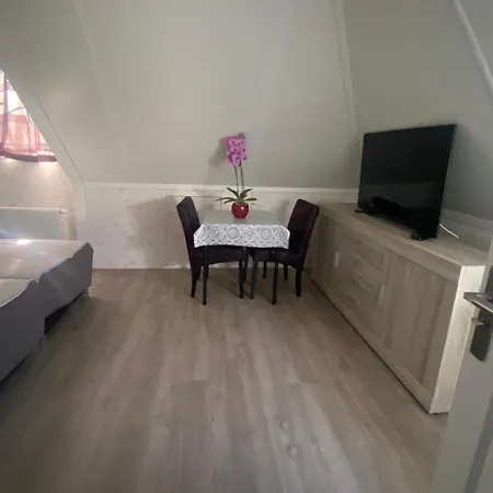 B&B nancy in holland met eigen badkamer , independent bathroom-3